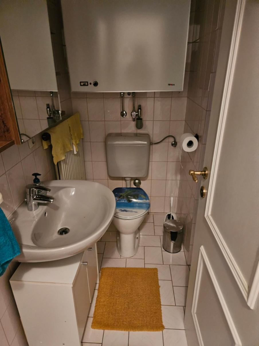 Wohnung Im Nationalpark Kalkalpen 1 Reichraming Exteriör bild